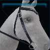 Trendy Winter western bridle