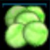 Lettuce leaves