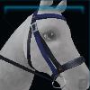 Stylish dark blue bridle