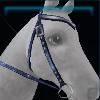 Star constellation bridle