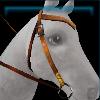 Spirit bridle