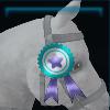 Head ribbon for the horse