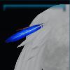 Tail feather decoration