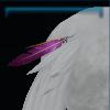 Tail feather decoration