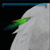 Tail feather decoration