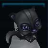 Black squirrel