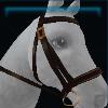 Brown governor bridle