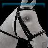 Matte governor bridle