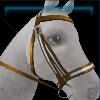 Brown birthday bridle