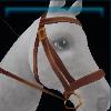 Brown city bridle