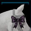 Head ribbon for the horse