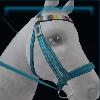 Light blue nature bridle