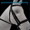 Black city bridle