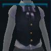 Stylish fashionable vest