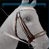 Classy competition bridle