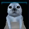 Seal pup
