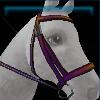 Christmas bridle