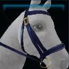 Mistfall competition bridle