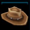 Brown riding trail hat