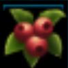 Lingonberries