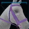 Unistria bridle - Azura