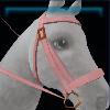 Unistria bridle - Dawn