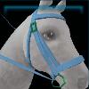 Unistria bridle - Pearl