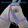 Unistria bridle - Candy