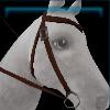 Dark Fall western bridle