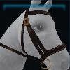Brown governor bridle