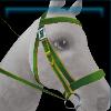 Fortuna bridle