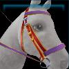 Easter bridle