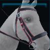 JoJo bridle
