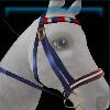 Exclusive blue bridle