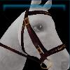 Iberian-style bridle