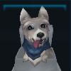 Timid terrier