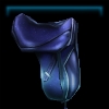 Nightdust's saddle