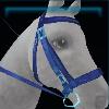 Nightdust's bridle