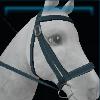 Matt and dark bridle