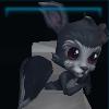 Graydew squirrel