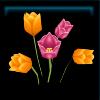 QC2217_Flower02_Name