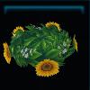 Stately sunflower crown