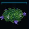 Breezy bluebell crown