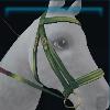 Green Goddess Bridle