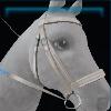 Sweet Cream Bridle