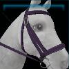 Dark purple bridle