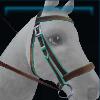 Star Stable Live Bridle