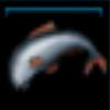 Fish_Salmon_Medium_Name