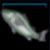 Fish_Salmon_Large_Name