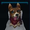 Companion_Wolf_01_Name